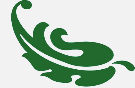 logo il logo della mmgvalsanmartino